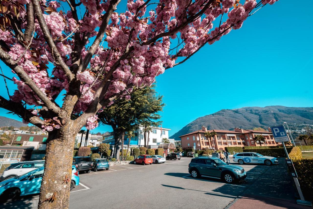 Ascona Lodge, Pool & Garden Retreat Exterior foto